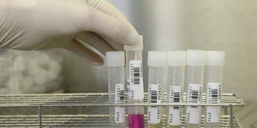 farmacija – farmaceuti