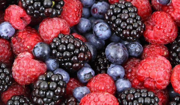 Šumsko voće: upoznajte vrste šumskog voća