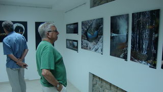 Otvorenje izlozbe Jerolima Vulica, foto: Mario Jerak