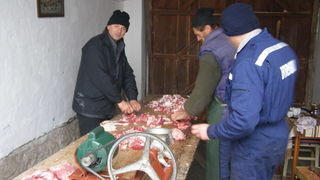 Svinjokolja u Bošnjacima (Foto: Josip Prskalo) Svinjokolja u Bošnjacima (Foto: Josip Prskalo)