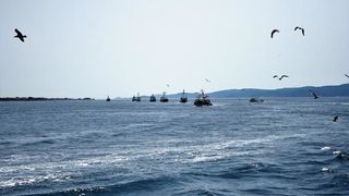 Tunuara 2016 – parada mažoretkinja, kuhanje brudeta & defile ribarica. Foto: Marija Cvetković