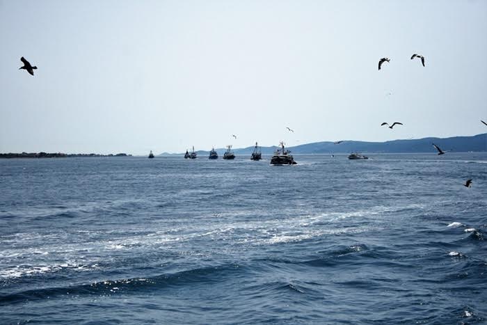 Tunuara 2016 – parada mažoretkinja, kuhanje brudeta & defile ribarica. Foto: Marija Cvetković