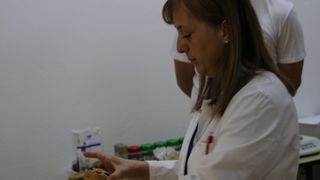 U Zadru po treći put održano Državno natjecanje u sektoru poljoprivreda, prehrana, veterina