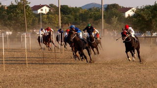 Polaca, utrke konja Oluja 95 Polaca, utrke konja Oluja 95