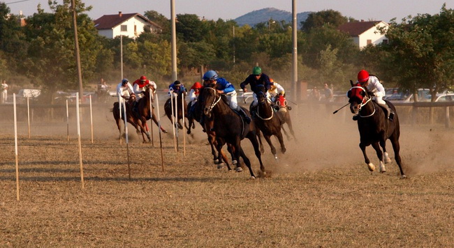 Polaca, utrke konja Oluja 95 Polaca, utrke konja Oluja 95