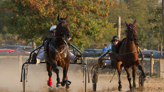 Polača: 14. Međunarodne konjičke utrke “Oluja 95”, Foto: Leo Banić Polača: 14. Međunarodne konjičke utrke “Oluja 95”, Foto: Leo Banić
