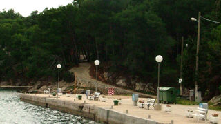 Image 1190433 (auto)