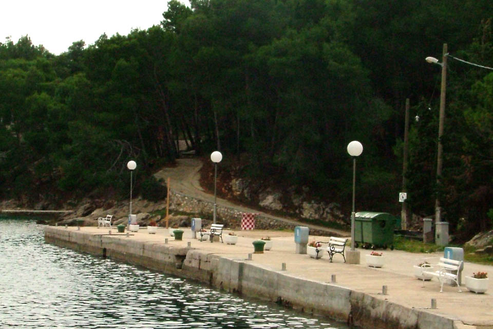 Image 1190433 (auto)