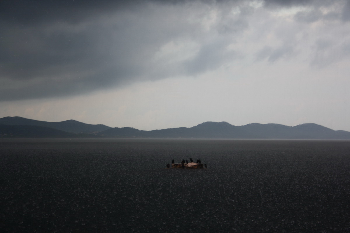 Grmljavinsko nevrijeme s obilnom kišom u Zadru 12. prosinca, Foto: Mladen Malik