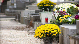 Gradsko groblje uoči blagdana Svih svetih (foto:Saša Čuka) Gradsko groblje uoči blagdana Svih svetih (foto:Saša Čuka)