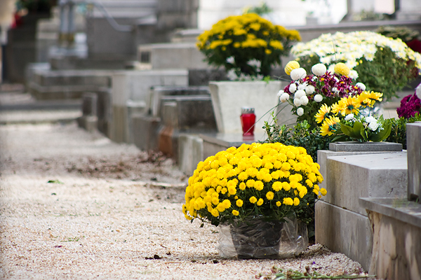 Gradsko groblje uoči blagdana Svih svetih (foto:Saša Čuka) Gradsko groblje uoči blagdana Svih svetih (foto:Saša Čuka)
