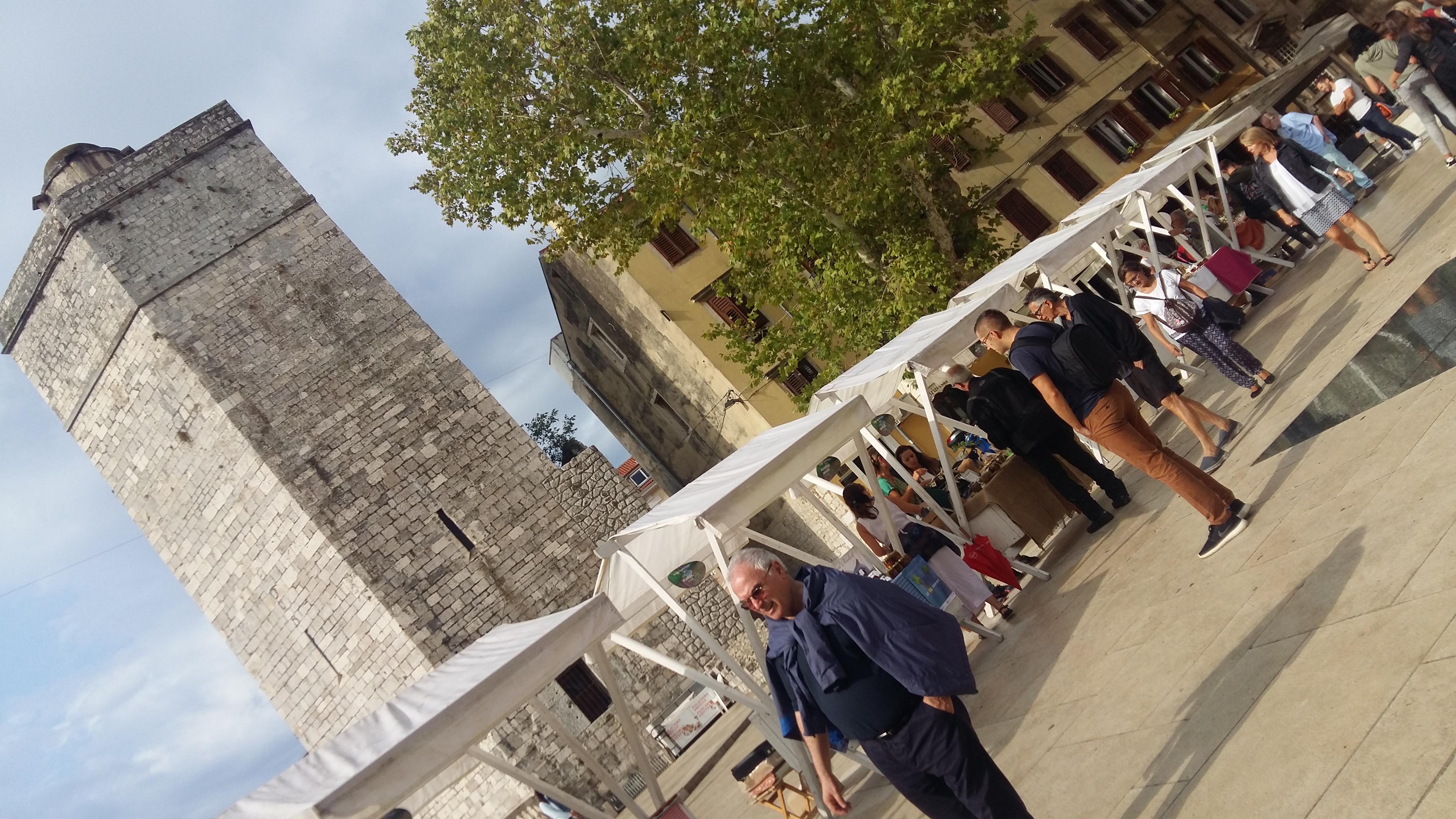 Sajam smokava na Trgu Petra Zoranića Sajam smokava na Trgu Petra Zoranića