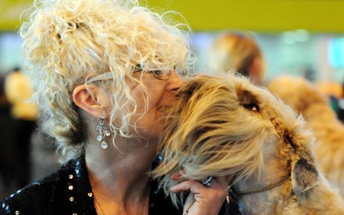 Izložba pasa Crufts 2009 u Birminghamu (Javno.hr)