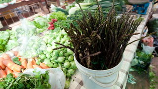 Zadar, 210312.
Unatoc velikoj susi koja vlada u zadarskom kraju, ovih dana na zadarskoj trznici su se pojavile prve sparoge.
Foto: Luka Gerlanc / CROPIX Zadar, 210312.
Unatoc velikoj susi koja vlada u zadarskom kraju, ovih dana na zadarskoj trznici su se pojavile prve sparoge.
Foto: Luka Gerlanc / CROPIX