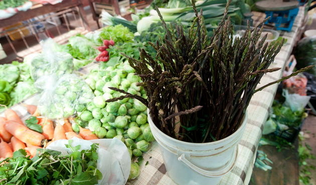 Zadar, 210312.
Unatoc velikoj susi koja vlada u zadarskom kraju, ovih dana na zadarskoj trznici su se pojavile prve sparoge.
Foto: Luka Gerlanc / CROPIX