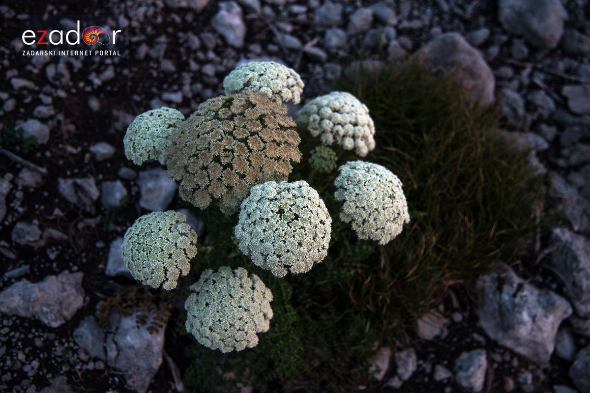 Prekrasna zvjezdana noć na Tulovim gredama Prekrasna zvjezdana noć na Tulovim gredama