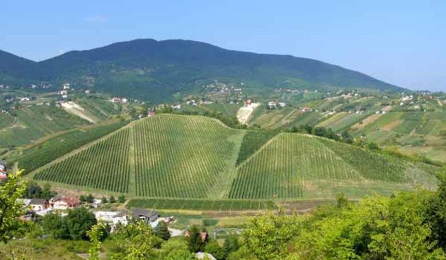 Jastrebarsko, foto: pearlsofcroatia.com