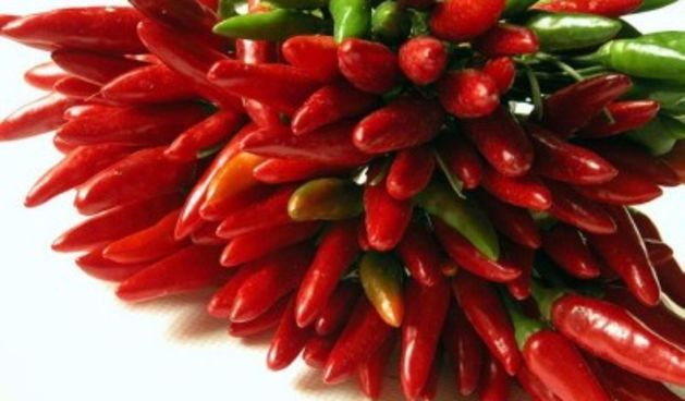 Ljute papričice, foto: tportal.hr