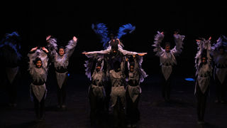 Večer Za Nives, plesni ansambli, foto: Iva Perinčić