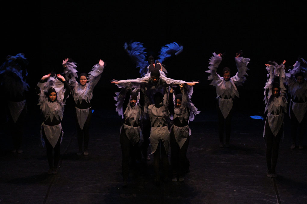 Večer Za Nives, plesni ansambli, foto: Iva Perinčić