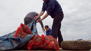 Ekološka akcija čišćenja podmorja u Bibinjama, foto: Leo Banić Ekološka akcija čišćenja podmorja u Bibinjama, foto: Leo Banić