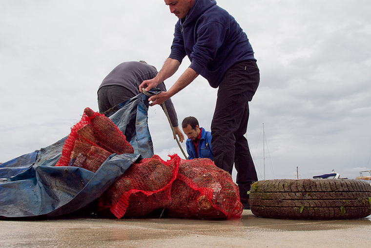 Ekološka akcija čišćenja podmorja u Bibinjama, foto: Leo Banić Ekološka akcija čišćenja podmorja u Bibinjama, foto: Leo Banić