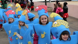 Virski karnevalić 2016. Virski karnevalić 2016.