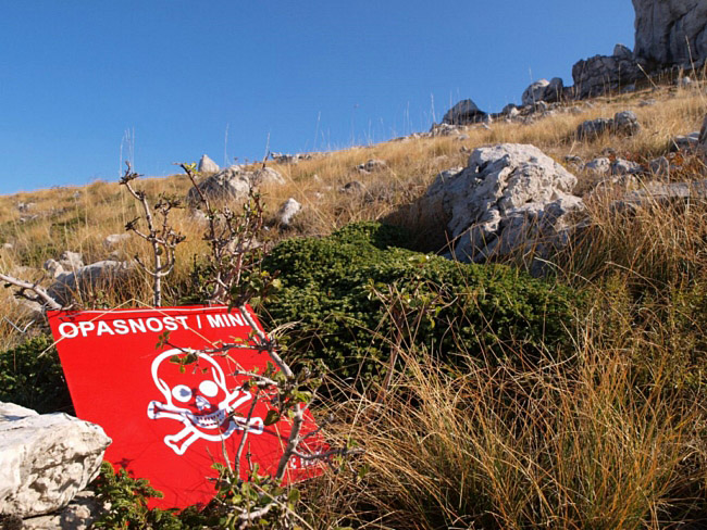 OLYMPUS DIGITAL CAMERA OLYMPUS DIGITAL CAMERA