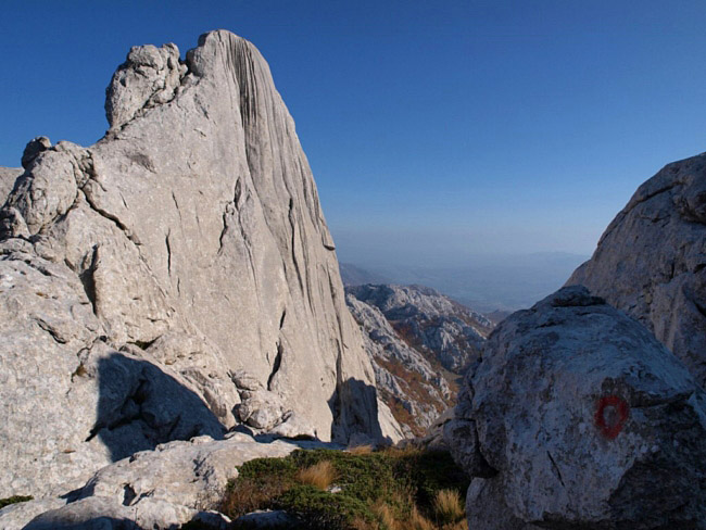 OLYMPUS DIGITAL CAMERA OLYMPUS DIGITAL CAMERA