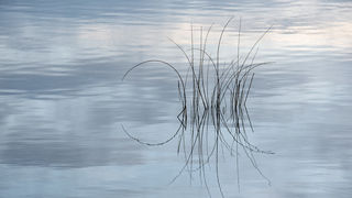 Čarobno jutro na Vranskom jezeru Čarobno jutro na Vranskom jezeru