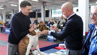 Izložba pasa na Zagrebačkom velesajmu Izložba pasa na Zagrebačkom velesajmu