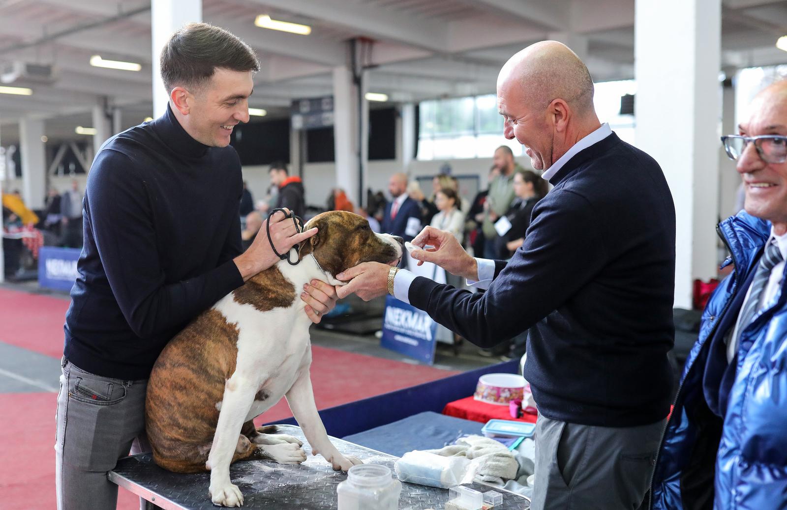 Izložba pasa na Zagrebačkom velesajmu Izložba pasa na Zagrebačkom velesajmu