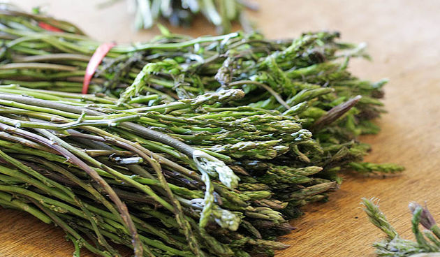 Sparoge – Prevara vreba na i na zadarskoj pijaci