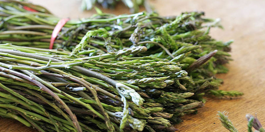 Sparoge – Prevara vreba na i na zadarskoj pijaci Sparoge – Prevara vreba na i na zadarskoj pijaci