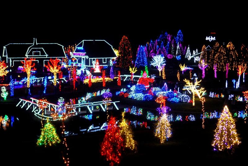 Božićna priča obitelji Salaj u Grabovnici, Photo: Damir Špehar/PIXSEL