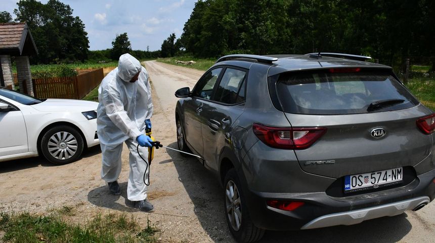 afrička svinjska kuga svinje svinja afrička svinjska kuga svinje svinja
