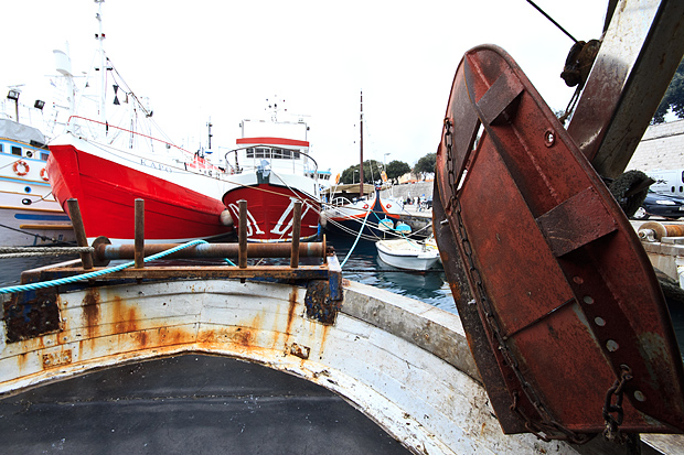 Ribarice u zadarskoj luci, Foto: Leo Banić