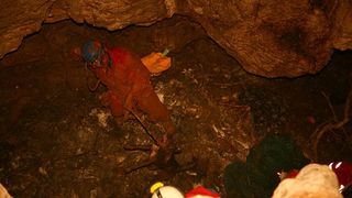 HGSS-ova akcija spašavanja pasa iz Živkine jame (foto: Zoran Erceg)