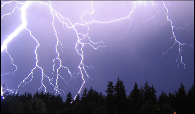 Image 1201829 (auto)