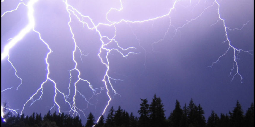 Image 1201829 (auto)