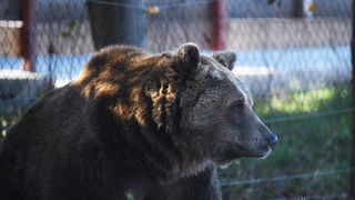 Boje jeseni na Plitvičkim jezerima