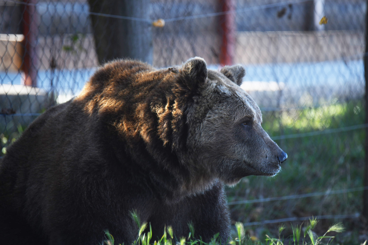 Boje jeseni na Plitvičkim jezerima