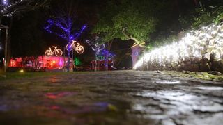 Perivoj Jelene Madijevke na trgu Pet bunara dobio je novo bozicno ruho. Photo: Filip Brala/PIXSELL Perivoj Jelene Madijevke na trgu Pet bunara dobio je novo bozicno ruho. Photo: Filip Brala/PIXSELL