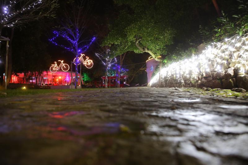 Perivoj Jelene Madijevke na trgu Pet bunara dobio je novo bozicno ruho. Photo: Filip Brala/PIXSELL Perivoj Jelene Madijevke na trgu Pet bunara dobio je novo bozicno ruho. Photo: Filip Brala/PIXSELL