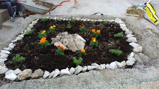 Akcije čišćenja i uređenja Vlašića na otoku Pagu