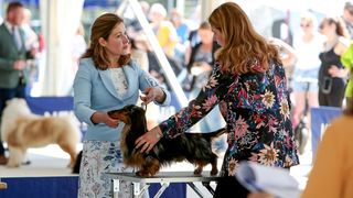 Međunarodna izložba pasa CACIB 2023