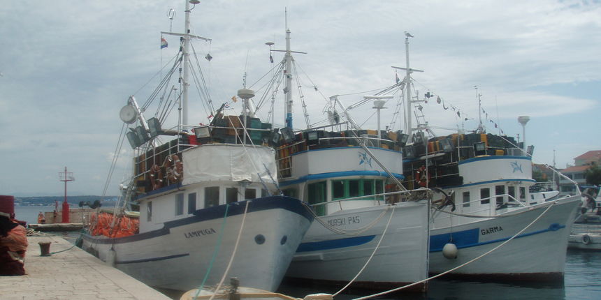 Kaljski ribarski brodovi (Foto: ezadar.hr) Kaljski ribarski brodovi (Foto: ezadar.hr)