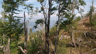 Svilaja, 18 rujna 2010