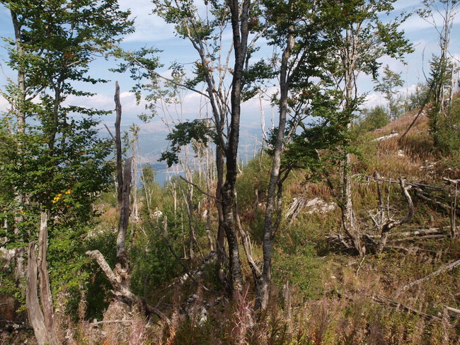 Svilaja, 18 rujna 2010