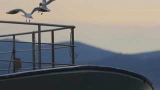 Predvečerje u Zadru 6. ožujka 2014.  Foto: Filip Brala/PIXSELL